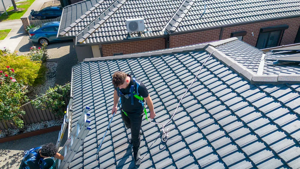 Climbing ladder with safety harness