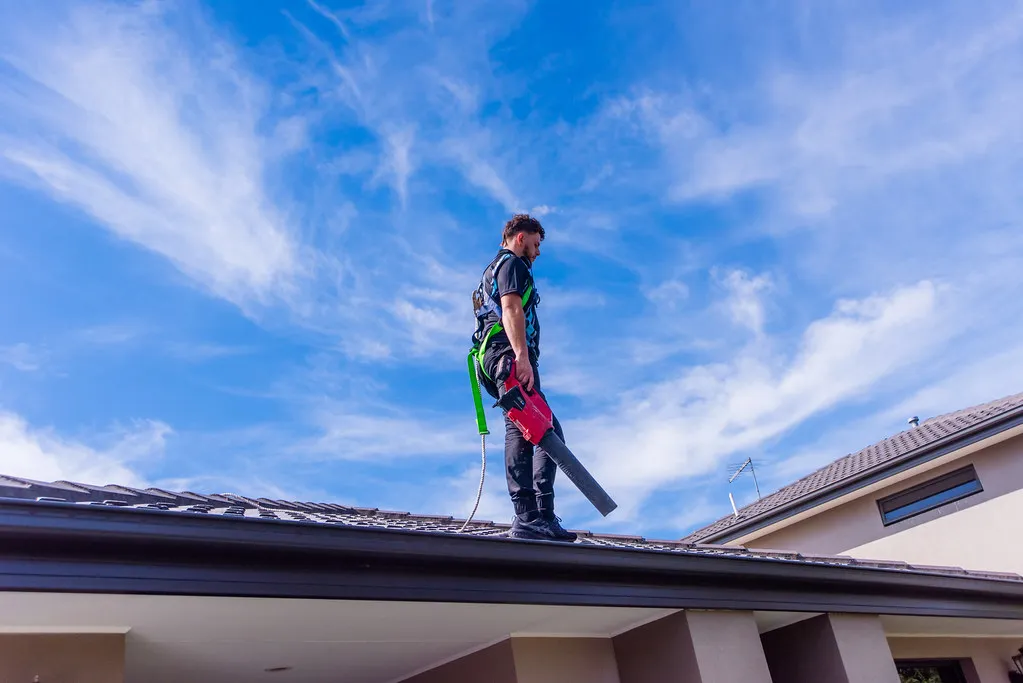 Leaf blowing on rooftop